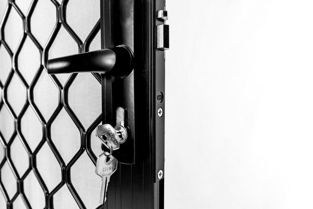 Diamond grille door handle and lock detail